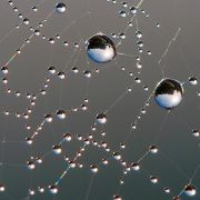 Mortar for concrete protection Epoxicolor Industrial