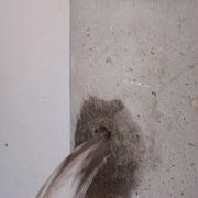 Concrete repair mortar Tapa Vías