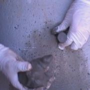Concrete repair mortar Tapa Vías