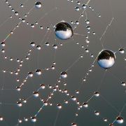 Epoxy paint Epoxicolor Pool